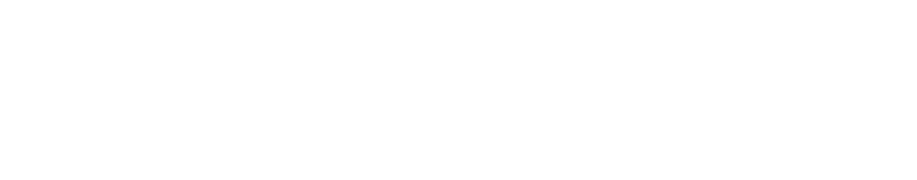 MINIFLASH
